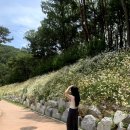 구미 한옥 카페 금오산 카페카리타스 풍빈원점 후기