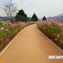 배드리