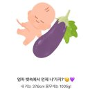 아뜰리에보미술교습소 | 임신일기11) 28-30w 기록 / 2차 정밀초음파 / 8개월이라니.