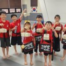 강철태권도체육관 이미지