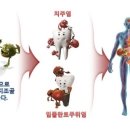 비엔비기획 이미지