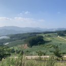 길정농장 이미지