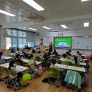 수월초등학교병설유치원 이미지