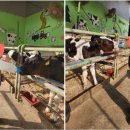 한들목장 이미지