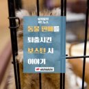 우리앤동물병원 이미지