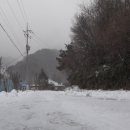 장금이식당 이미지