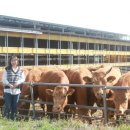 만희농장 이미지