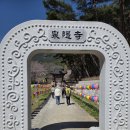 지리산 | 구례여행 구례사찰 지리산 천은사 방문후기