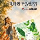 마주보다 | 엄마 저자 : 이현주, 양희영, 김태은 출판사 : 마음세상장미꽃향기 필사단 8회차 아픈 손가락을 마주 보다