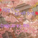 라이티티아스킨앤네일