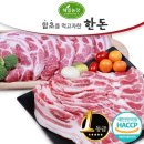청정한돈