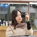신사(217) 네이버블로그