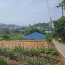 포승원정길 이미지