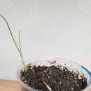 호서세차장 이미지