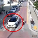 가흥초등학교 정문 중앙일보