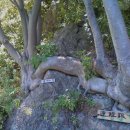 사랑의연리근 이미지