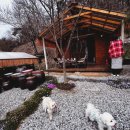 양지마을2로27 | 충주 바베큐장 추천 양지마을포레스트 몸만 가는 캠핑 감성 힐링 후기