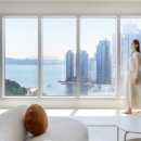 르컬렉티브 해운대 패러그라프 이미지