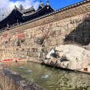 영남자원 | 🍁가을, 합천 가야산(만물상 코스) 후기!