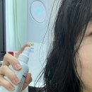 홀링헤어