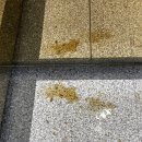 호채담