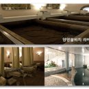 대명기프트 이미지