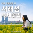 주흥11길 40 (2) | 이번 주말 서울 꽃구경 어때?｜반포한강공원 서래섬 유채꽃 피크닉 콘서트 후기