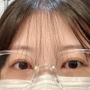 페뷰어리