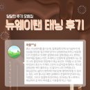 뉴웨이탠