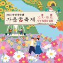 장성 가을꽃 축제. 가요베스트 🌟✨️💞 이미지