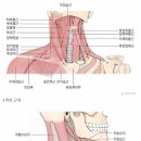 테라피 요가A 이미지