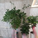 목포신세계병원 이미지