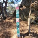 낙동강생태문화탐방로 | 상주 나각산 낙동강생태문화탐방로 나각권 나각산 출렁다리