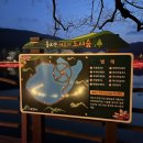 틀모산 도시숲 이미지