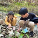 화순초이서분교장 이미지