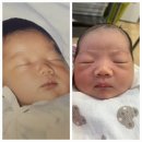 (주)편한 | 제주 맘편한산부인과 유도분만 성공 후기