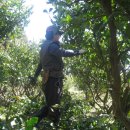 이슬농장 이미지