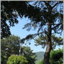 양산누리길 이미지