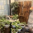 송촌축산 이미지