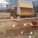 해마루농원 이미지