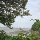 인다바 | [경기/시흥] 인다바(똥섬칼국수) 후기_오이도 칼국수, 파전