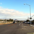 마리아농장 이미지