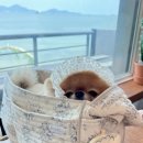 동반상사 이미지