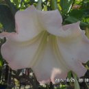 산내들웰빙 이미지