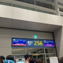 지정14 | 발리여행 가루다항공 탑승 후기 (기내식, 좌석 지정)