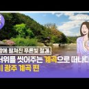 신한라이프 골목길힙스터 경기 광주 계곡 편 영상 감상평 이벤트 ~8.7 이미지