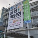 대한민국 농업박람회 양재AT센터 농업의 미래 박람회 후기