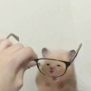 영신약국 네이버블로그