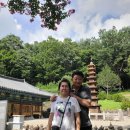 계림정야영장 이미지