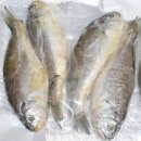 고씨네수산